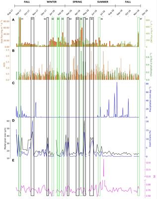 High-resolution sampling in the eastern tropical North Atlantic reveals episodic Saharan dust deposition: implications for the marine carbon sink